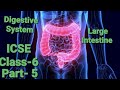 Part's of Alimentary Canal #largeintestine #colon #rectum