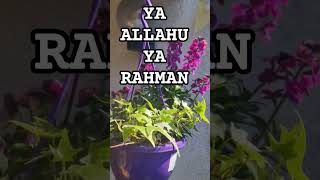 Ssilgeßaykus5N1K.aboneolana