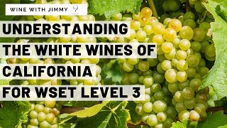 Thumbnail for WSET Level 3 California Part 3 Chardonnay and Sauvignon Blanc