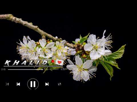 پښتو نعت عجيبه مــينه په غږ د قاري سيف الله سمندر او ملا بهير الهاشمي