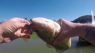 Can you fish at Bass Pro Shop?!