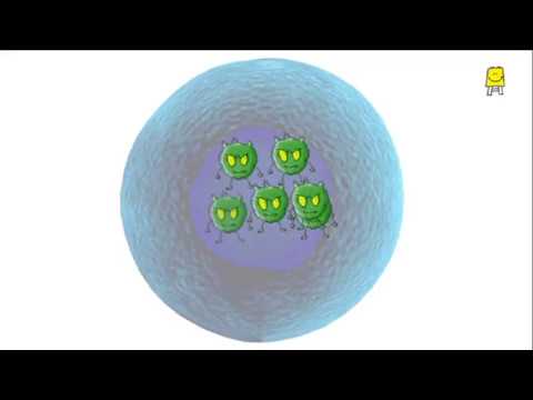 Virus (Marathi) - व्हायरस