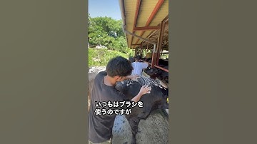 春長くんがお肉になるまで【残り80日】 ※日付訂正
