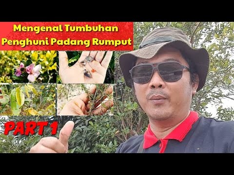 Video: Apa yang dimakan gopher di padang rumput?