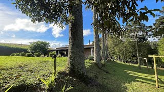 COMPRAMOS UM BERRANTE