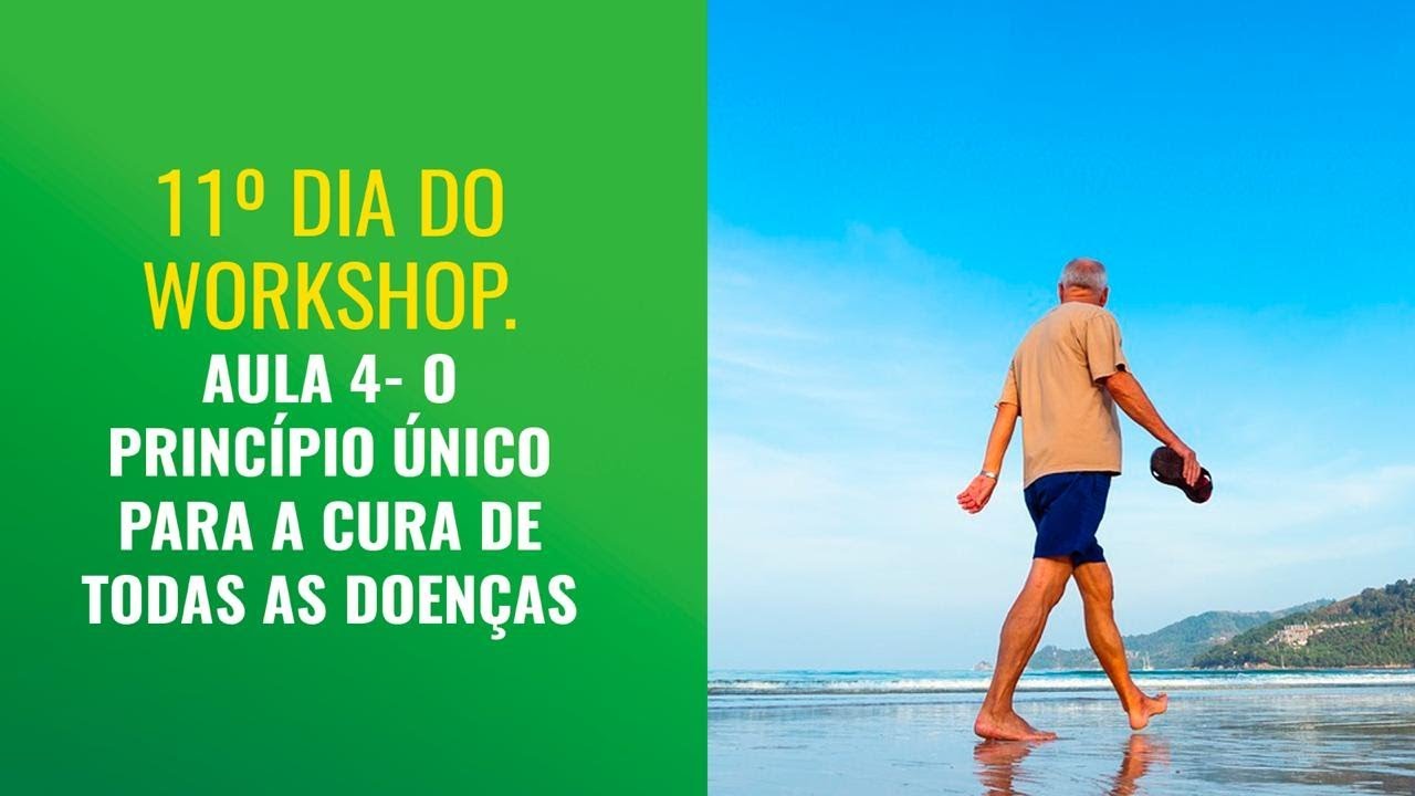 11º E ÚLTIMO DIA DO WORKSHOP - AULA 4- O PRINCÍPIO ÚNICO PARA A CURA DE TODAS AS DOENÇAS