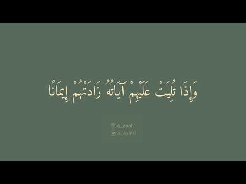 سورة الأنفال ٢ ٦ القارئ عاصم اللحيدان