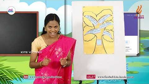 First Bell 2.0 STD 02 Mathematics - English Medium Class 02