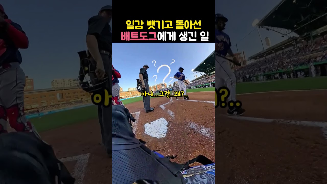 야구장 배트도그가 배트를 뺏기자 코치가 한 행동ㅋㅋ #배트도그 #리트리버 #강아지