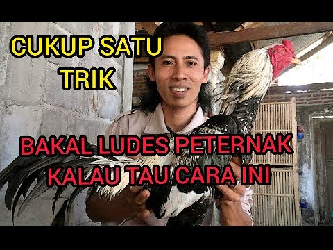 Video: Kakitangan CEX Mengadu Perlindungan 