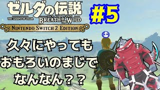 【ゼルダの伝説ブレスオブザワイルド】 最後の剣の試練に挑むべええ！＃４【switch２えでしょん/頬白凪】