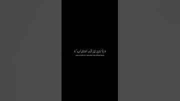 وما أنزلنا عليك الكتاب إلا لتبين لهم | كرومات قرآن كريم بصوت #عبدالرحمن_مسعد | #سورة_النحل