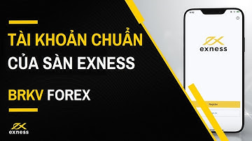 TÀI KHOẢN STANDARD EXNESS LÀ TÀI KHOẢN CHUẨN NHẤT THỊ TRƯỜNG? BRKV Forex