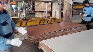 Cấu tạo cửa gỗ công nghiệp chống cháy lan Việt