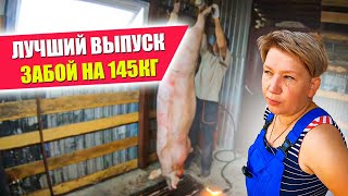 ЗАБОЙ на 145 КГ | САЛО НЕ ХВАТАЕТ | Цены на сало в 2021 | Цены на мясо свинины | Куда делся Алексей