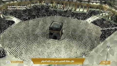 ماتيسر من سورة فاطر لـ فضيلة الشيخ #فيصل_غزاوي من صلاة المغرب ١٦ شعبان ١٤٤٥هـ