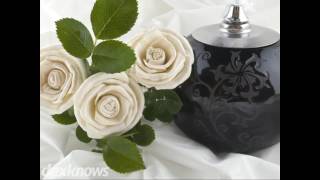 Strickland Funeral Home & Crematory Crystal River FL 34429-9011