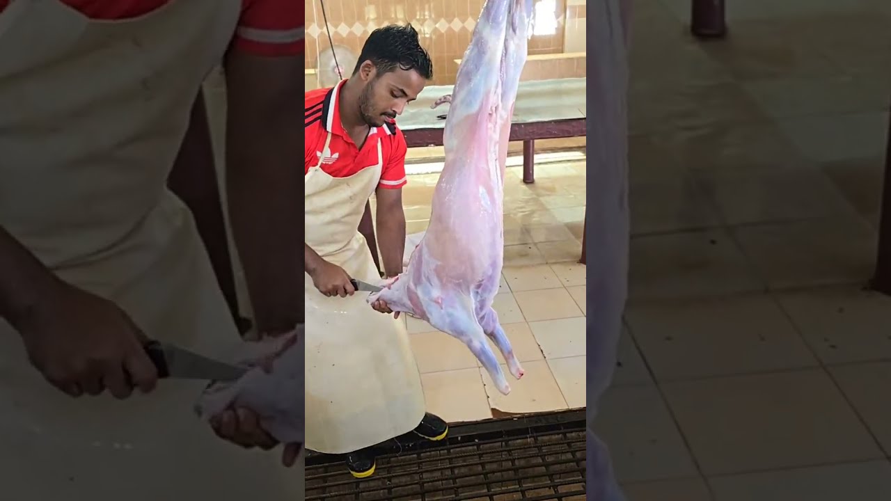 KSA@My work07 is live Goat process full video 