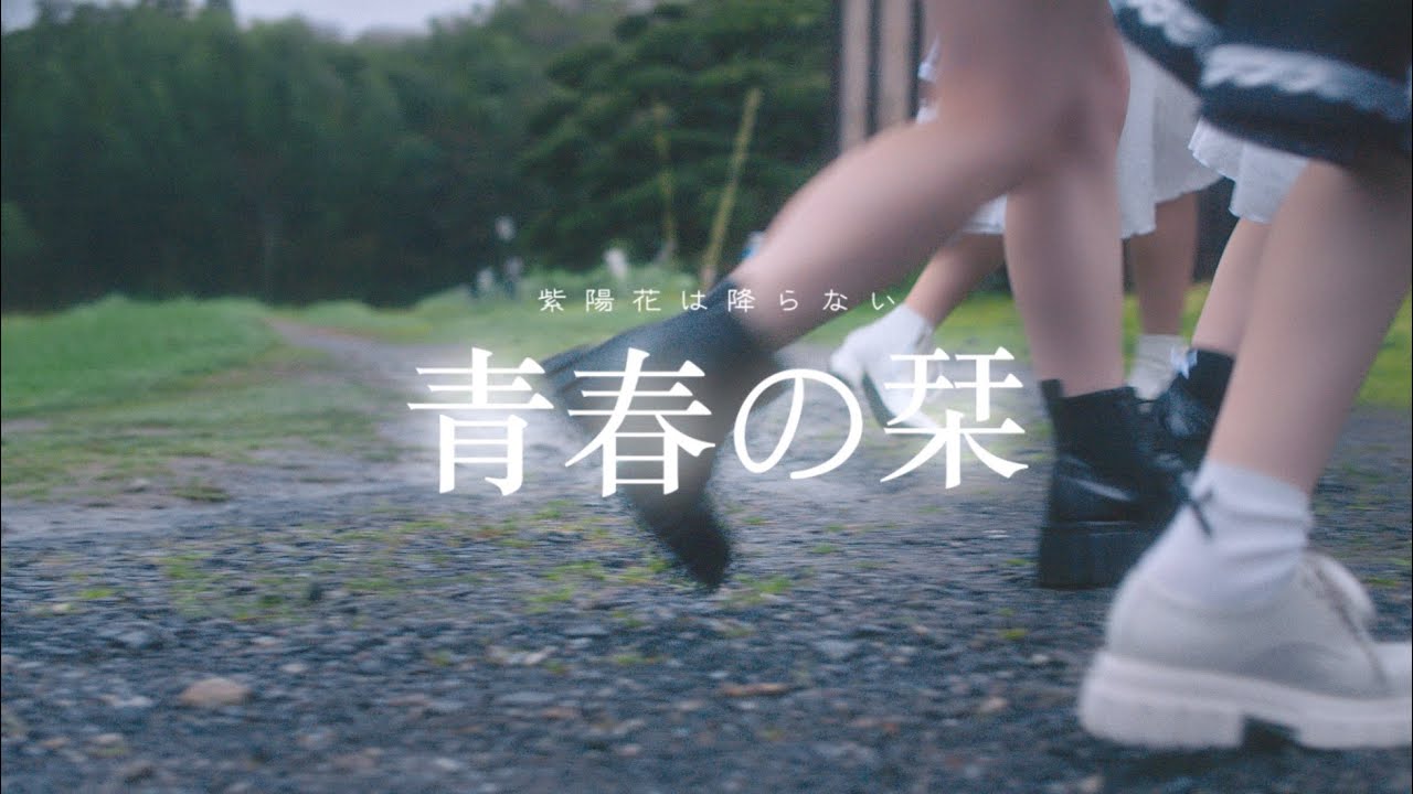 【MV】紫陽花は降らない『青春の栞』
