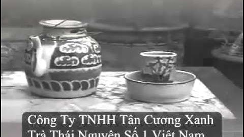 Trà Thái Nguyên - http://tancuongxanh.com/
