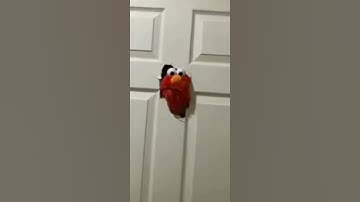 Elmo Smashes Door