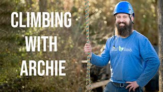 Climbing with Archie: How to Climb a Tree Like an Arborist