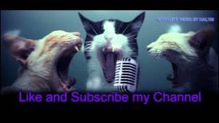 Karaoke Sonetrock - Nafsu Serakah No vocal Lyric