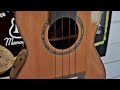 Capture de la vidéo The Best Concert Ukuleles For Beginners...