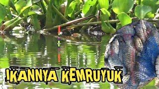 SPOT MANCING INI SEKARANG IKANNYA KEMRUYUK