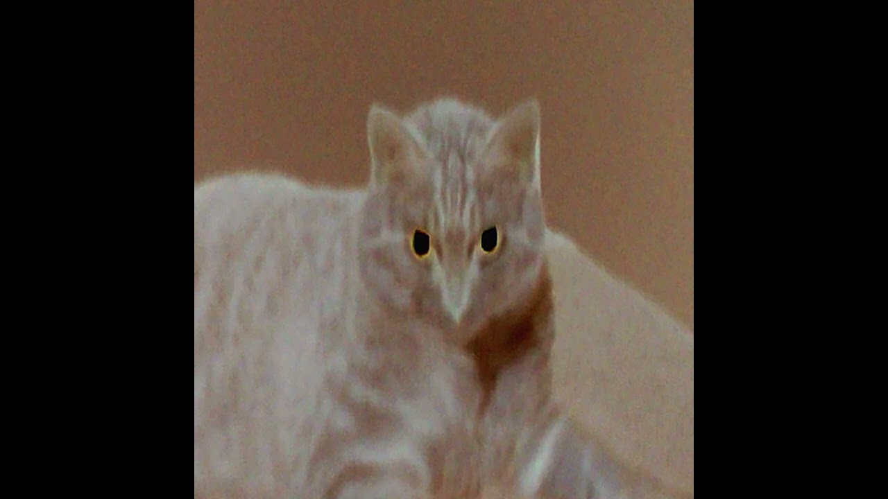 Tao Meditation 3 Reverb Reversed Slow 370 | early 2000's nintendo water |