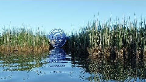 The Swamp in Blender