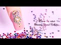 Learn how to use Shinning around Pallete on your nails by Dipika Parihar