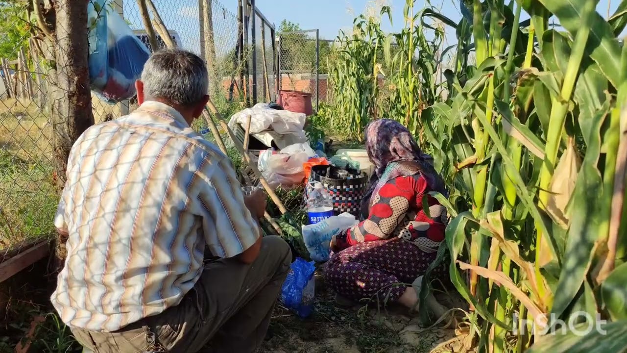 Hafta sonu bahçede eşimle semaver çayı ve bahçe işleri