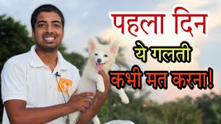 One Important Care Tips For First Day Puppy At Your Home