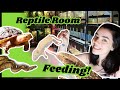 Reptile Room Feeding! (FEEDING 20+ REPTILES)