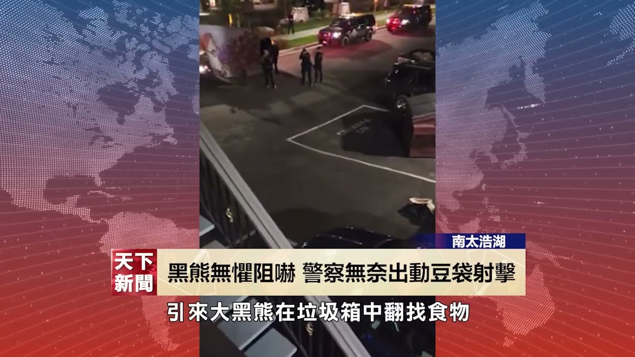 【天下新聞】南太浩湖: 大黑熊無懼阻嚇 警察無奈出動豆袋射擊