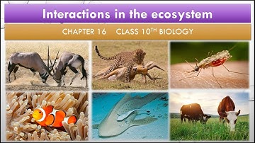 Interactions in the ecosystem| Competition| Predation| Parasitism| Symbiosis| Grazing| Ch16 class 10