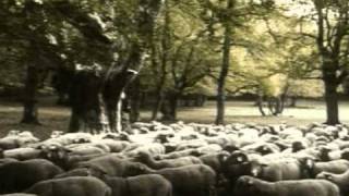 la pastorizia in Abruzzo (demo)