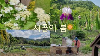 모종심고나니까 다시 농한기 온듯한 시골일상 vlog 🏕