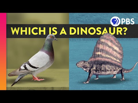 ⁣What's the difference between a Dinosaur and a not-Dinosaur?