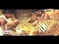Special Report - Chendru Mandavi the 'Tiger Boy'