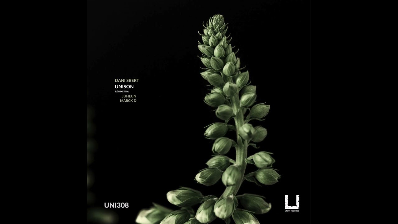 Dani Sbert - Unison (Original Mix) [UNITY RECORDS]