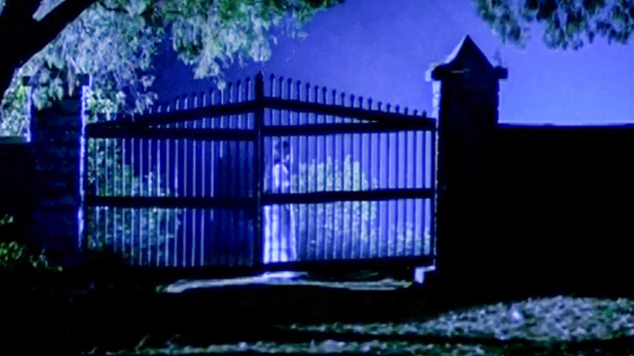 പുറത്ത് ഒരു പെണ്ണിന്റെ കണ്ടു നോക്കാൻ ചെന്നപ്പോൾ പെട്ടന്ന് കാണാതായി .. | Movie Scene | Indriyam