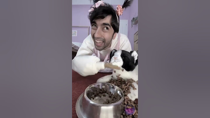 I Kicked Out My Dirty Cat... 💩🐱 And I Regret It!💔😭