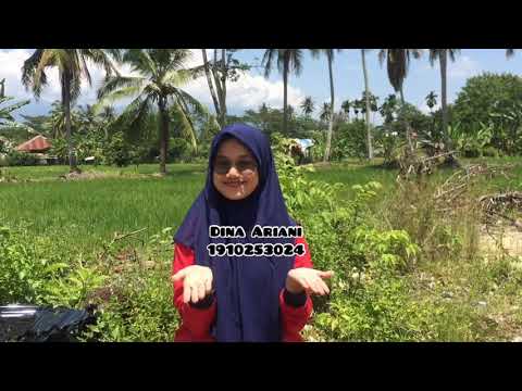 Video: Apa Penyebab Penyakit Hawar Daun Wortel - Penyebab Penyakit Hawar Daun Wortel