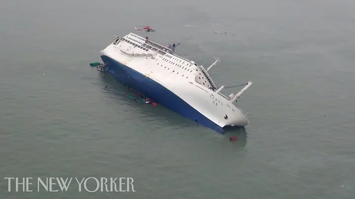 What Went Wrong in the South Korean Ferry Disaster? | The New Yorker - DayDayNews