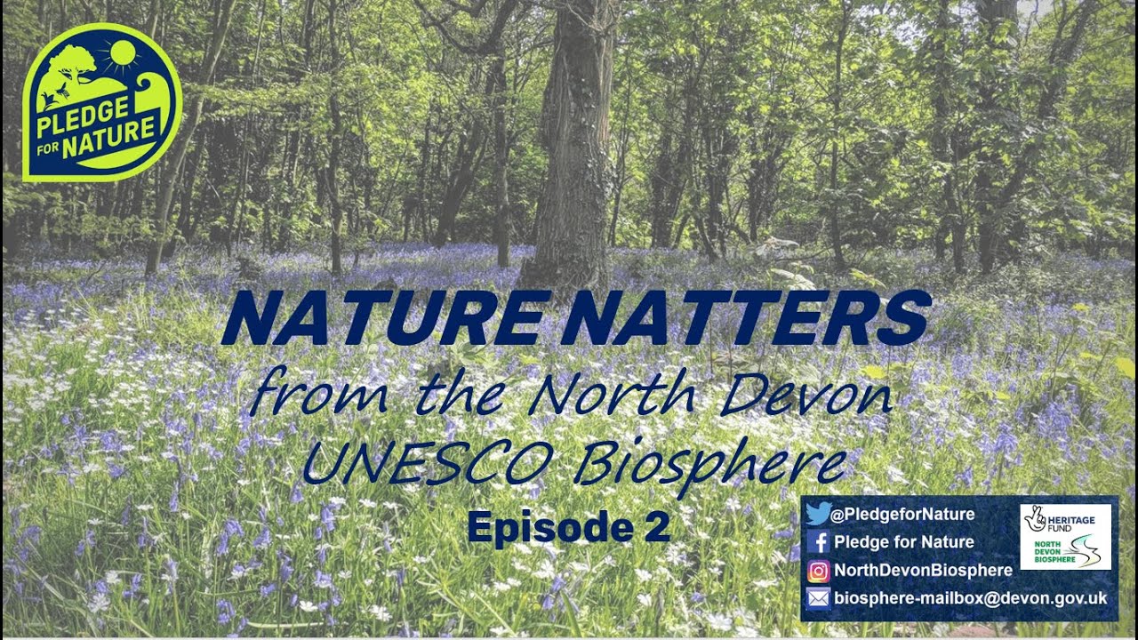 Nature Natters ft. Lizz the postcode gardener for Bideford's Little