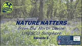 Nature Natters ft. Lizz the postcode gardener for Bideford's Little Green Town Wealth