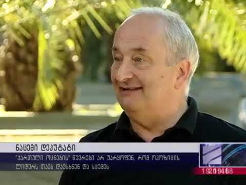 ჩხუბი სოციალურ ქსელში გამოქეყნებული სტატუსის გამო   „ქართული ოცნების“ წევრი ენმ