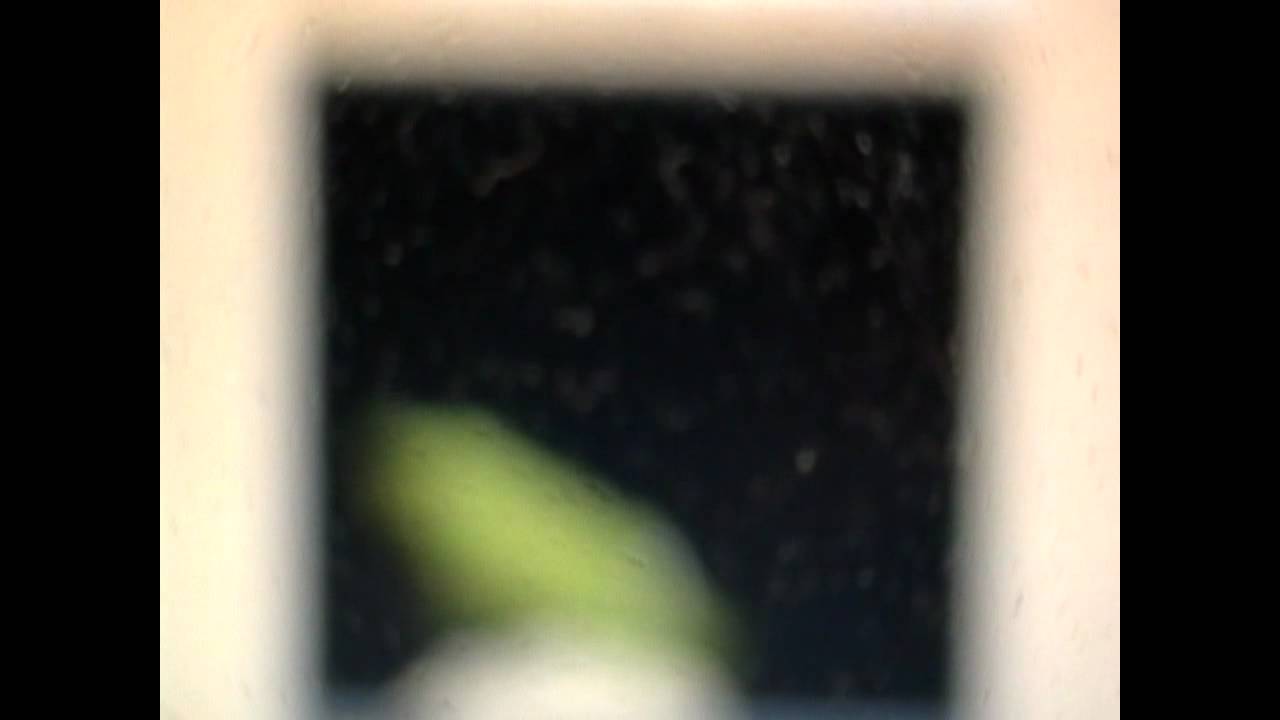 Game and Watch 2012 Powder Game PC YouTube